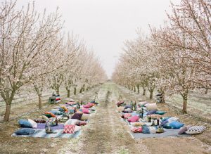 bohemian-wedding-seating-setup-orchard-california-wedding