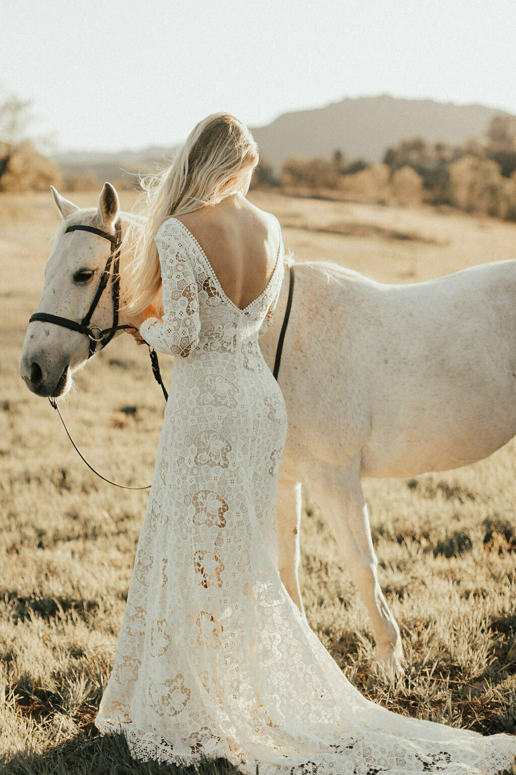 long sleeve lace wedding dress