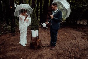 bride and groom plants a unity tree